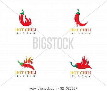 Red Hot Set Natural Of Chili Icon Template Vector Illustration