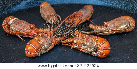 Background With Fresh Crayfish In Pan And Ready For Cooking.