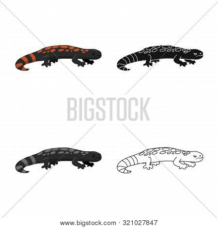 Vector Design Of Lizard And Gila Sign. Set Of Lizard And Colored Stock Symbol For Web.