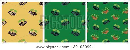 Seamless Pattern. Vector Berries. Mountain Ash, Rowan, Viburnum And Black Chokeberry. Natural Fashio