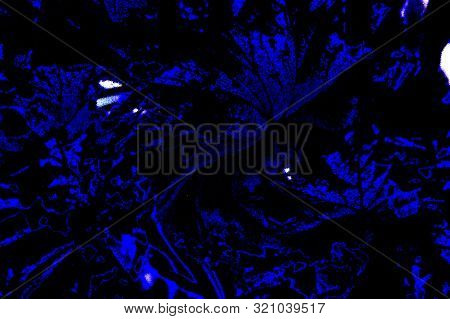 A Fantasy Distorted Blue Geranium Leaf, Algeria