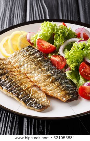 Grilled Mackerel Fillet With A Side Dish Of Fresh Vegetable Salad Close-up On A Plate. Vertical