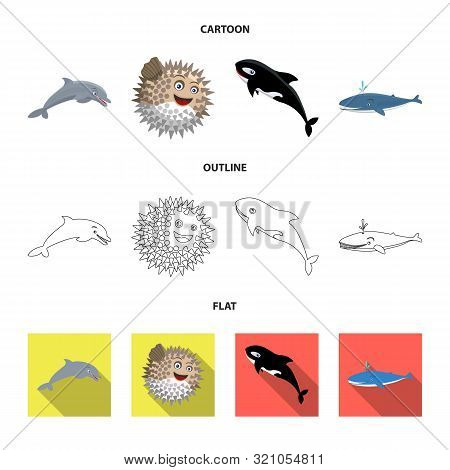 Vector Illustration Of Sea And Animal Icon. Collection Of Sea And Marine Vector Icon For Stock.