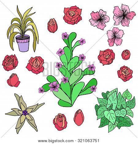 Potted Plant, Rose Buds And Flowers. Vector Isolated Illustration