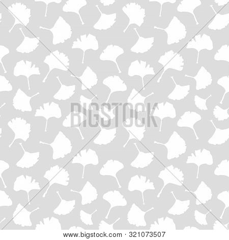 Ginkgo Biloba Plant Seamless Pattern, Large White Leaves Silhouettes On Grey Background. Vector Mono