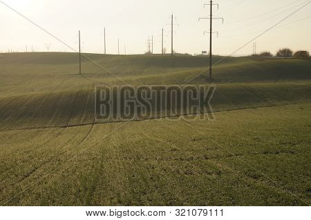 Green Grass Field On Small Hills And Blue Sky With Clouds