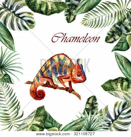 Watercolor Bright Hameleon Isolated On A White Background