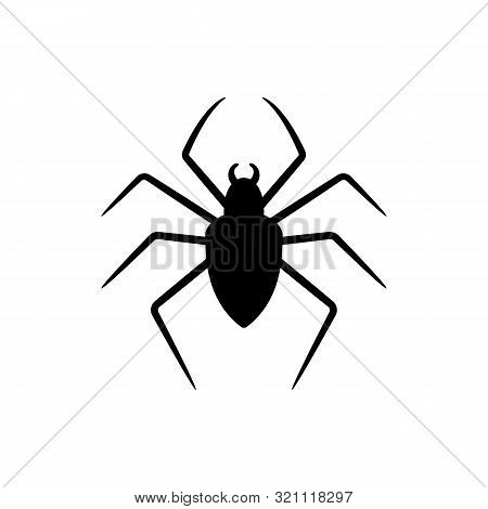 Black Silhouette Of Spider Isolated On White Background. Halloween Decorative Element. Illustration 