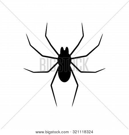 Black Silhouette Of Spider Isolated On White Background. Halloween Decorative Element. Illustration 