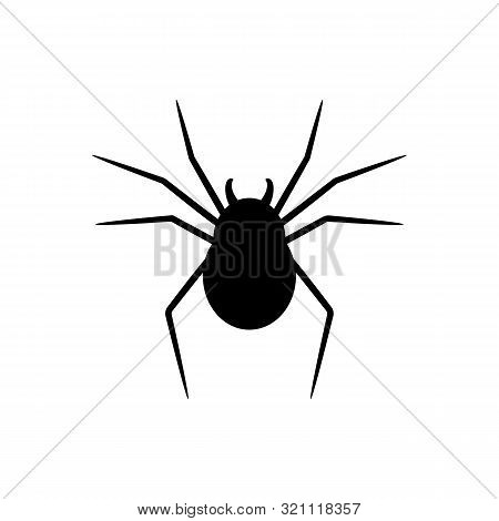 Black Silhouette Of Spider Isolated On White Background. Halloween Decorative Element. Illustration 