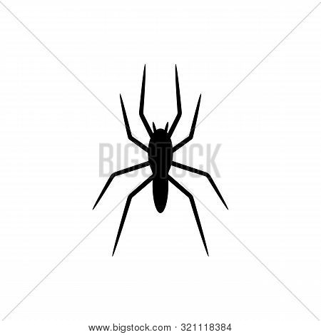 Black Silhouette Of Spider Isolated On White Background. Halloween Decorative Element. Illustration 