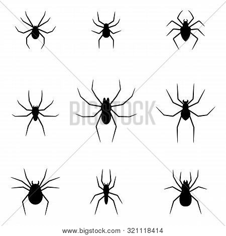 Set Of Black Silhouettes Of Spiders Isolated On White Background. Halloween Decorative Elements. Ill
