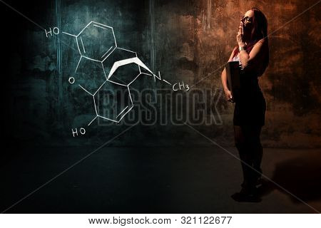 Sexy Girl Or Secretary Or Female Student Presenting Handdrawn Chemical Formula Of Morphine