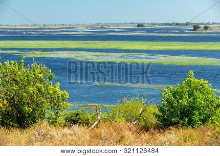 Picturesque Landscape Of Chobe River In Botswana. Africa Wilderness