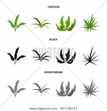 Vector Design Of Landscaping And Summer Symbol. Collection Of Landscaping And Environment Stock Vect