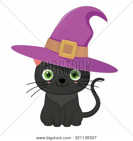Black Halloween Cat In Violet Witch Hat.