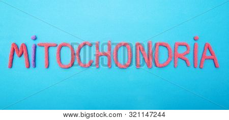 Inscription Mitochondria With Red Plasticine On A Blue Background, Organella, Medical