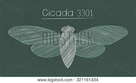 Mysterious Organization Cicada 3301  Vector Illustration, Chalkboard Style.