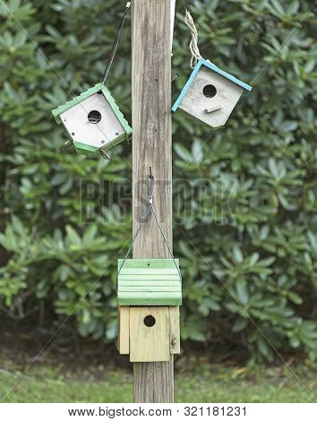 Birdhouses Hanging On A Wooden Post With Green Shrubbery Background