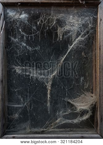 Spooky halloween background. Old and scary web (cobwebs) in a dark window