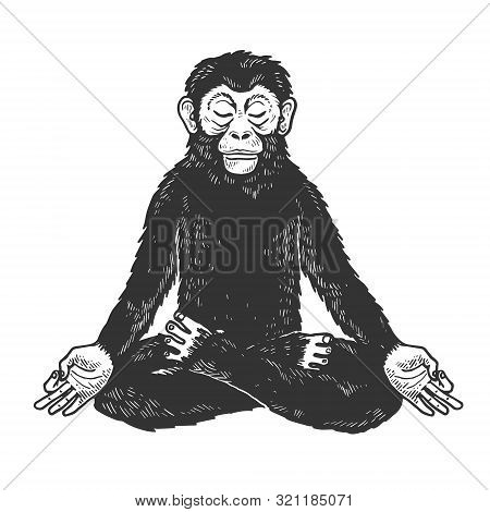 Chimpanzee Monkey Meditating In Lotus Position Sketch Engraving Vector Illustration. Tee Shirt Appar