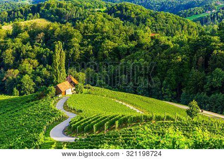 Spicnik, Maribor, Slovenia. Famous Heart Shaped Wine Road.
