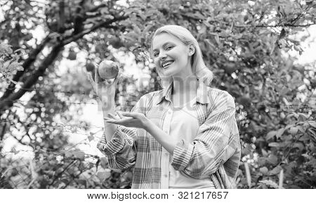 Happy Woman Eating Apple. Orchard, Gardener Girl In Apple Garden. Vitamin And Dieting Food. Healthy 