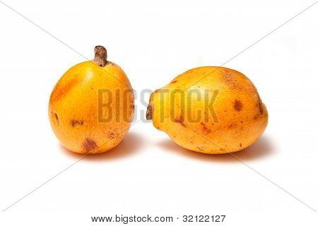 Loquat or Japanese Medlar fruit