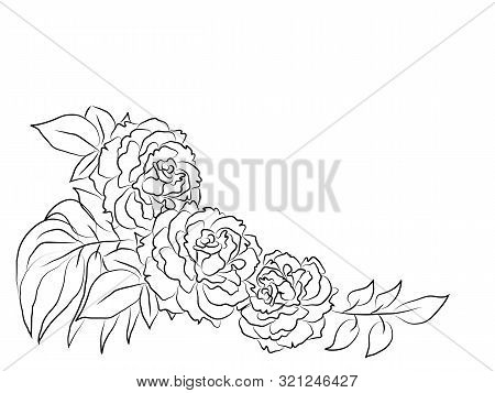Texture From Rose, Sakura And Lotus Petals. Background With Round Place For Text. Frame Pattern, Flo
