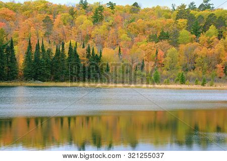 Peak Autumn Foliage Colors Reflected On Pristine Lake Josephine In Scenic Itasca State Park, Norther
