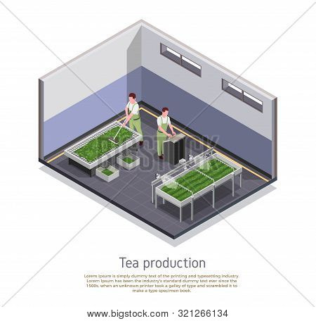 Modern Tea Production Facility Isometric Composition With Grading And Oxidizing Harvested Leaves Pro