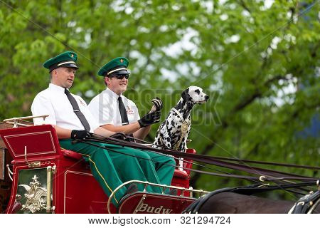 Louisville, Kentucky, Usa - May 2, 2019: The Pegasus Parade, The Budweiser Clydesdales Going Down Th