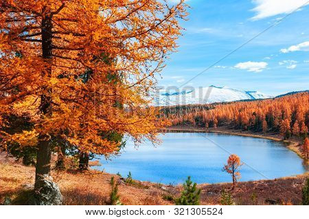Kidelu Lake In Altai Mountains, Siberia, Russia. Beautiful Autumn Landscape.