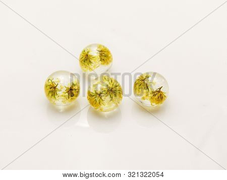 Flowers In Epoxy Resin, Preserving Fresh Flowers In Resin Means Preparing The Flowers First By Dryin