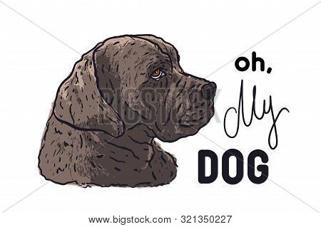 Cane Corso Breed Face Head Dog Print. Oh, My Dog Inscription. Vecctor Hand Drawn Illustration Isolat