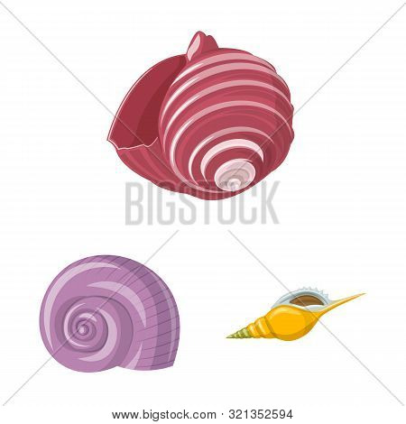 Vector Illustration Of Seashell And Mollusk Logo. Collection Of Seashell And Seafood Stock Symbol Fo