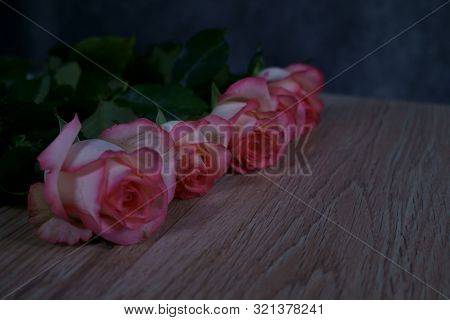 Dolce Vita Rose On Wood With Gray Background