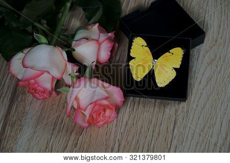 Dolce Vita Roses With Black Present Box And Yellow Butterfly On Wood