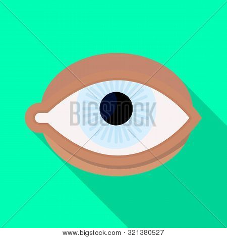 Isolated Object Of Eye And Eyeball Symbol. Collection Of Eye And Blue Vector Icon For Stock.