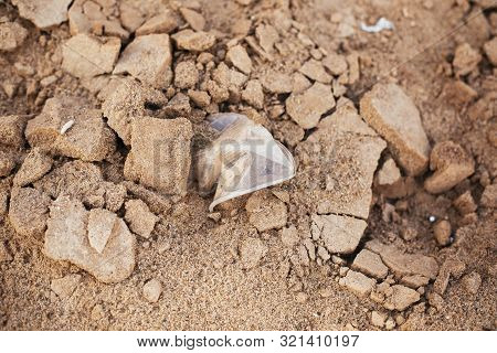 Plastic Pollution On The Beach. Single Use Plastic Cup In Sand, Marine Trash On The Beach. Stop Plas