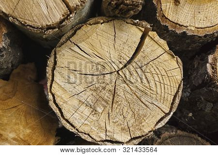 Logs Of Firewood Piled Close Up . Fuel For Stove Heating. Country Life. Wooden Firewood Stacked Wall