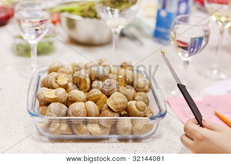 lumache francesi escargot
