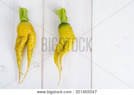 Ugly Shaped Vegetables, Food. Deformed  Fresh Organic Carrots. Misshapen Produce.