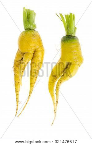 Ugly Shaped Vegetables, Food. Deformed  Fresh Organic Carrots. Misshapen Produce.