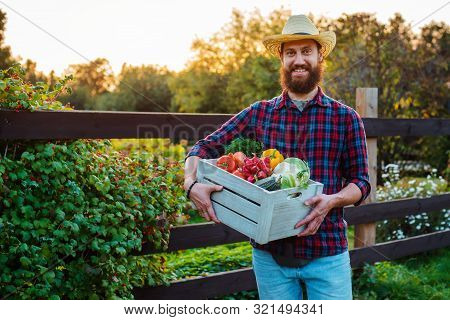 Young 30-35 Years Old Young Bearded Man Male Farmer Hat With Box Fresh Ecological Vegetables Garden 