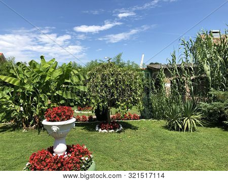 Private Garden Near City Of Slavonski Brod, Croatia