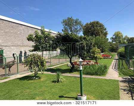 Private Garden Near City Of Slavonski Brod, Croatia