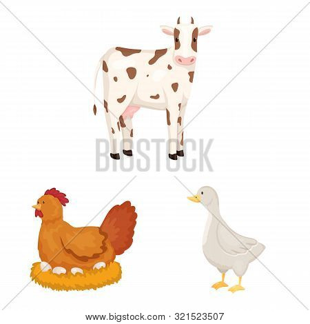 Isolated Object Of Farm And Food Logo. Set Of Farm And Countryside Stock Vector Illustration.