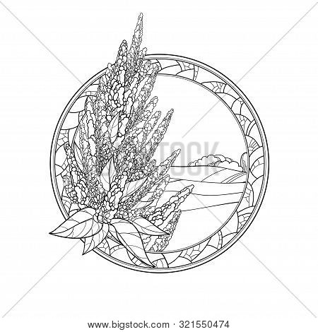 Vector Outline Amaranthus Or Amaranth Flower Bunch And Leaves In  Mosaic Round Frame In Black Isolat