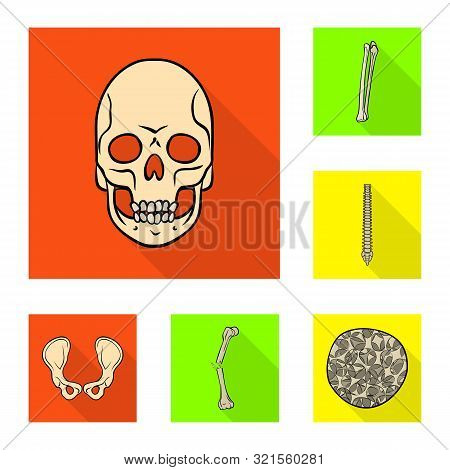 Vector Design Of Bone And Skeleton Symbol. Set Of Bone And Human Stock Symbol For Web.